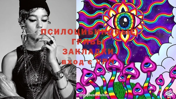 тгк Аркадак